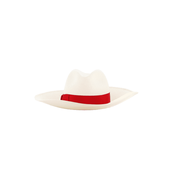 Women Straw Hat alt